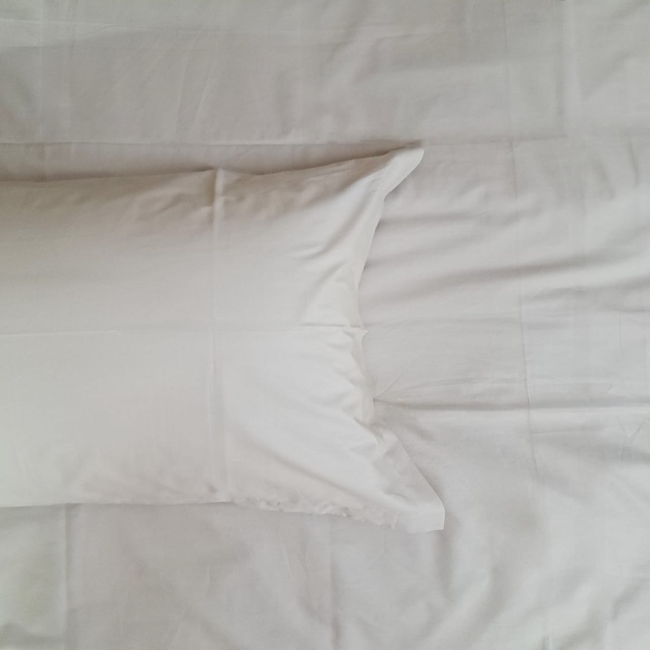Pillow Covers 200TC Luxury Set of 2 - Ecru (Light Beige)