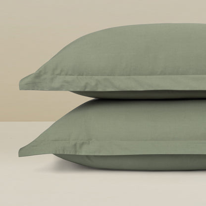 Pillow Covers 300TC Luxury  Set of 2 - Frosty Fern