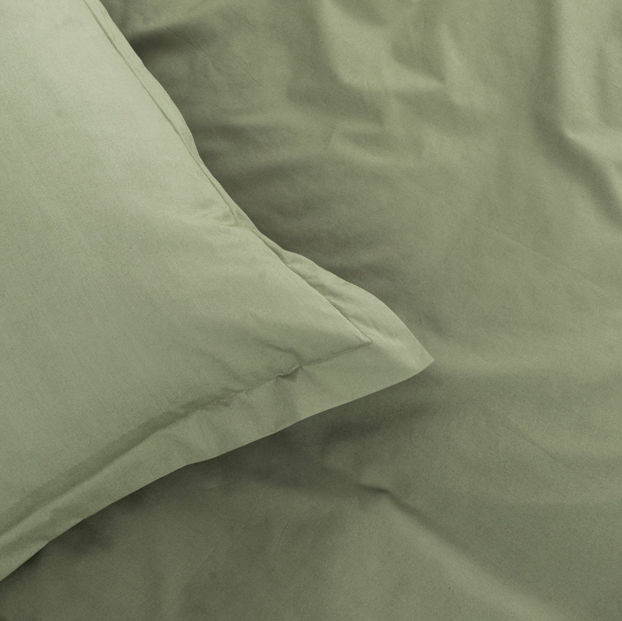 Pillow Cover 300TC Luxury- Frosty Fern